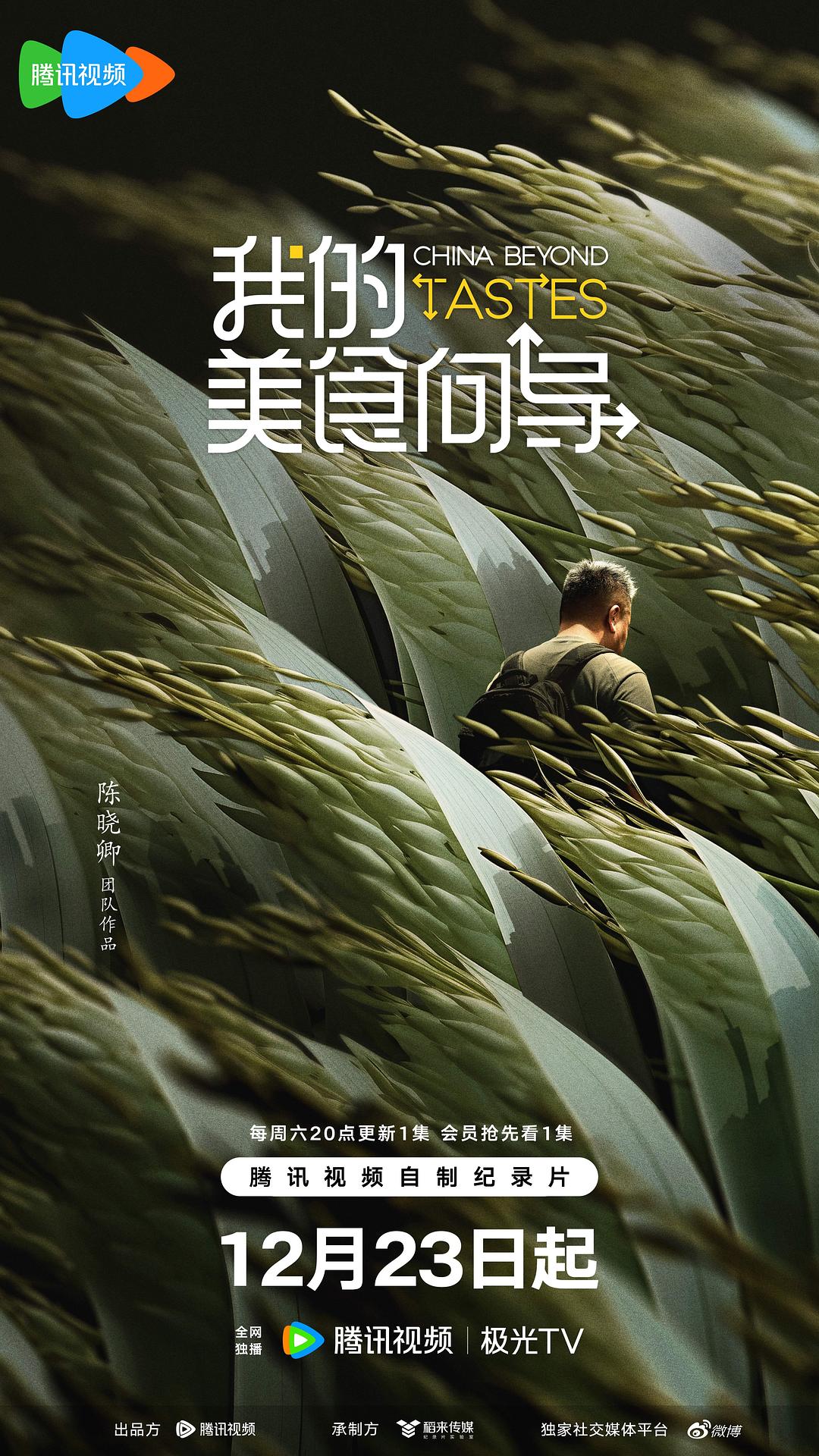 我的美食向导